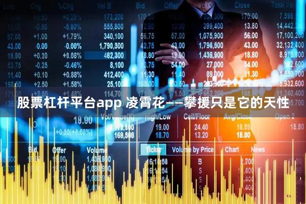 股票杠杆平台app 凌霄花——攀援只是它的天性