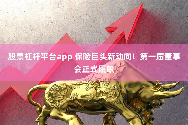 股票杠杆平台app 保险巨头新动向！第一届董事会正式履职